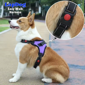 Lapdog Adjustable Harness