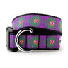 Peacock Purple Collar