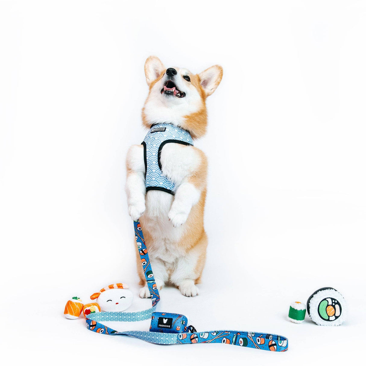 Frenchie Duo Reversible Harness - Sushi