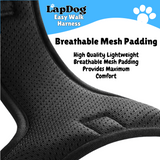 Lapdog Adjustable Harness