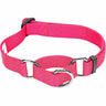 Martingale Dog Collar