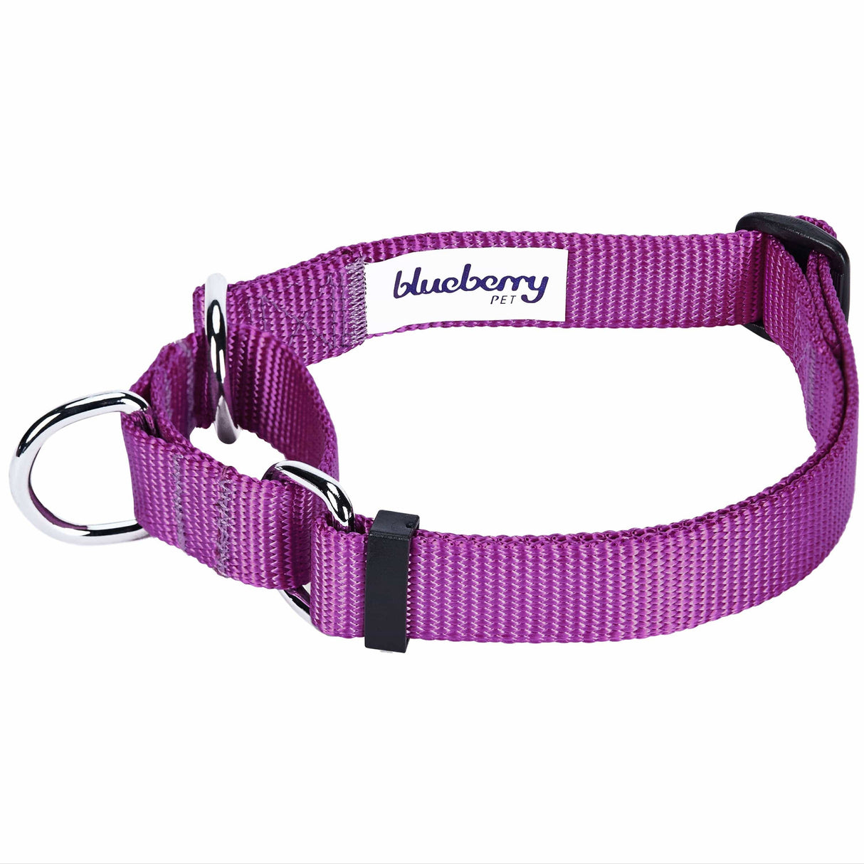 Martingale Dog Collar