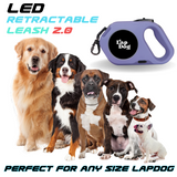 LED Retractable Dog Leash with Flashlight