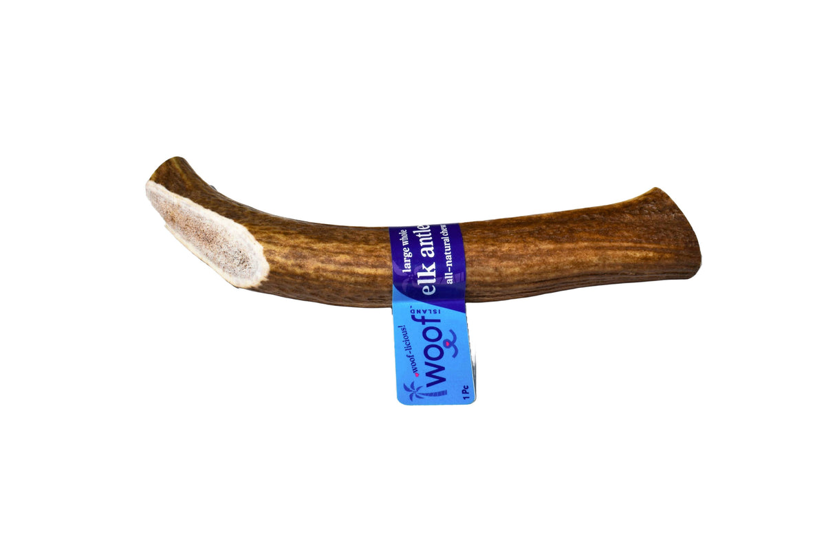 Elk Antler (Large) - Whole