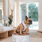 Frenchie Duo Reversible Harness - The Leo- Beige