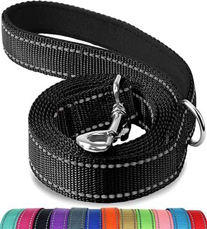 Lapdog Nylon Leash w/neoprene lined handle