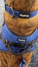 Lapdog Adjustable Harness