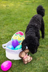 Chocolate Bunny Dog Toy