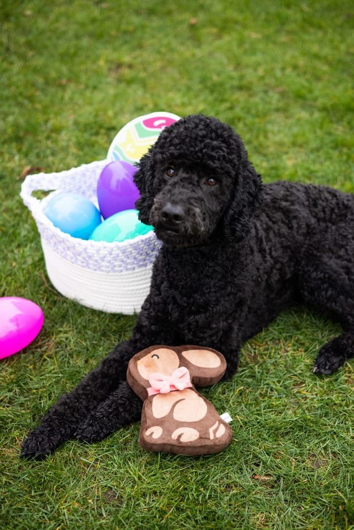 Chocolate Bunny Dog Toy