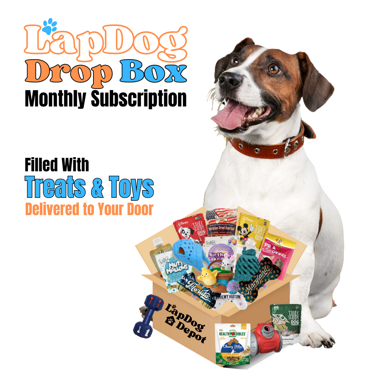 Lapdog Drop Box - Subscribe & Save