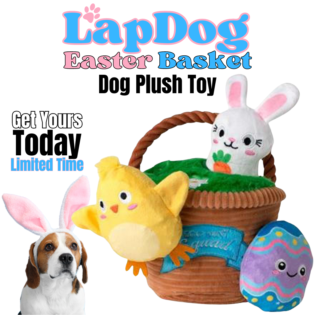 Easter Basket Egg Hunt and Seek Plush Dog Toys