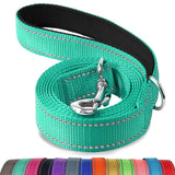 Lapdog Nylon Leash w/neoprene lined handle