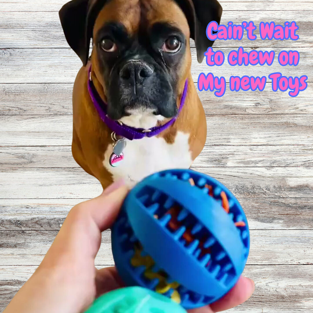 2 Pack Treat holding Toy Ball