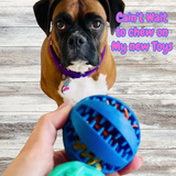 2 Pack Treat holding Toy Ball