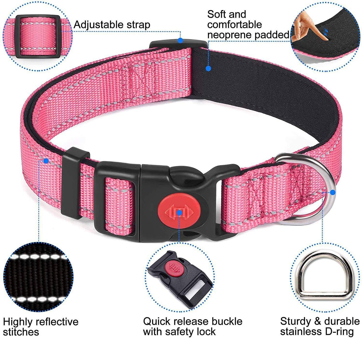 Lapdog Nylon Collar w/neoprene liner