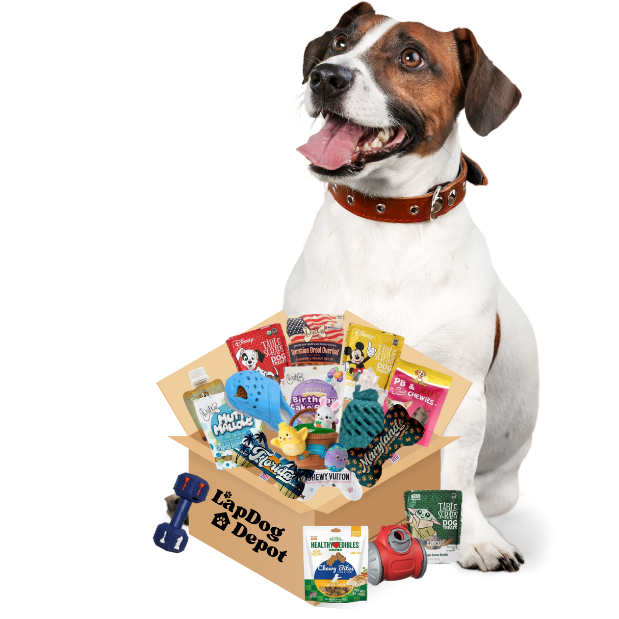 Lapdog Drop Box - Subscribe & Save