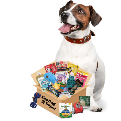 Lapdog Drop Box - Subscribe & Save