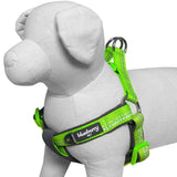 Padded Harness with 3M Reflective Stripes