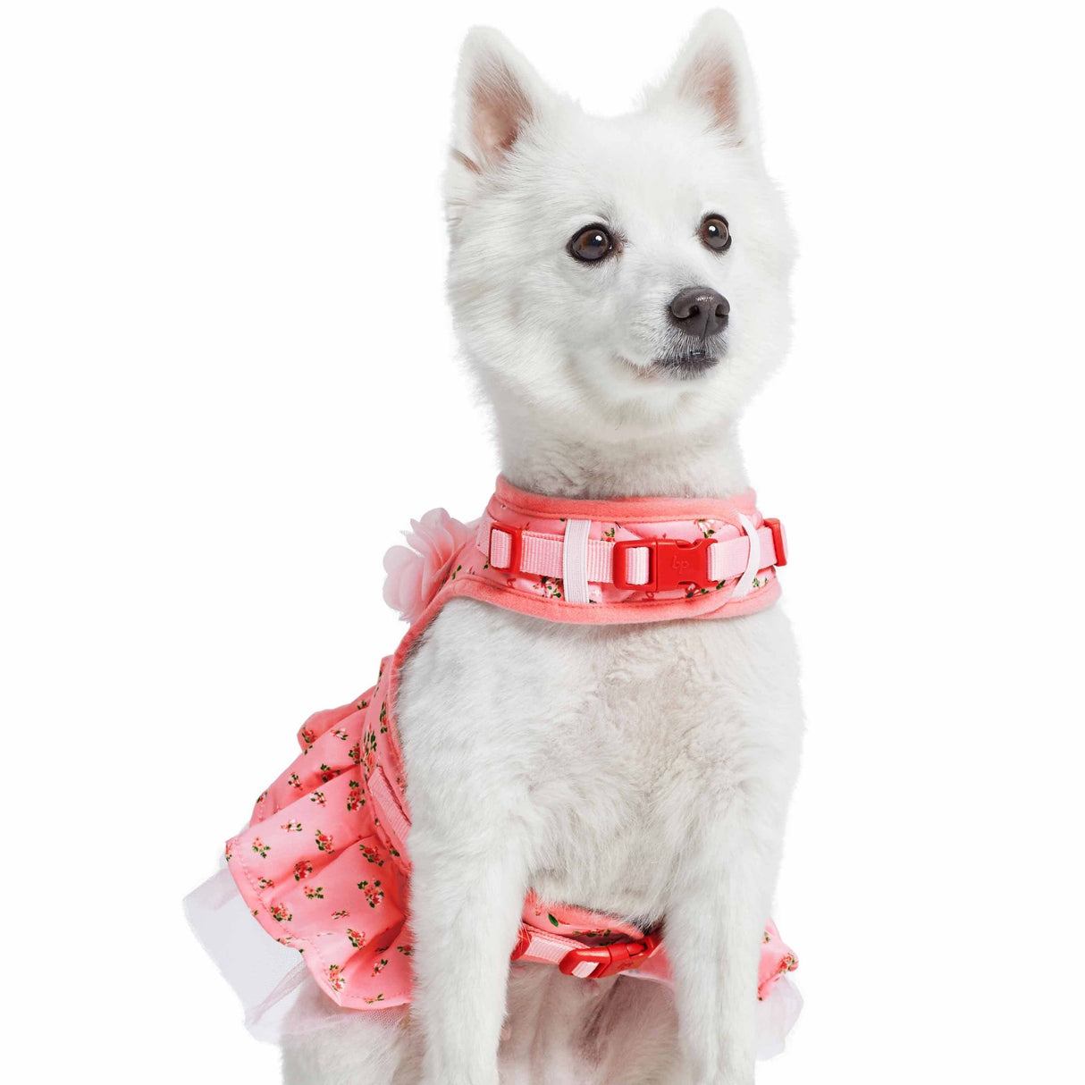 Made Well Floral Dog Dress Harness