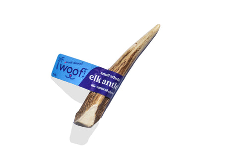 Elk Antler (Small) - Whole