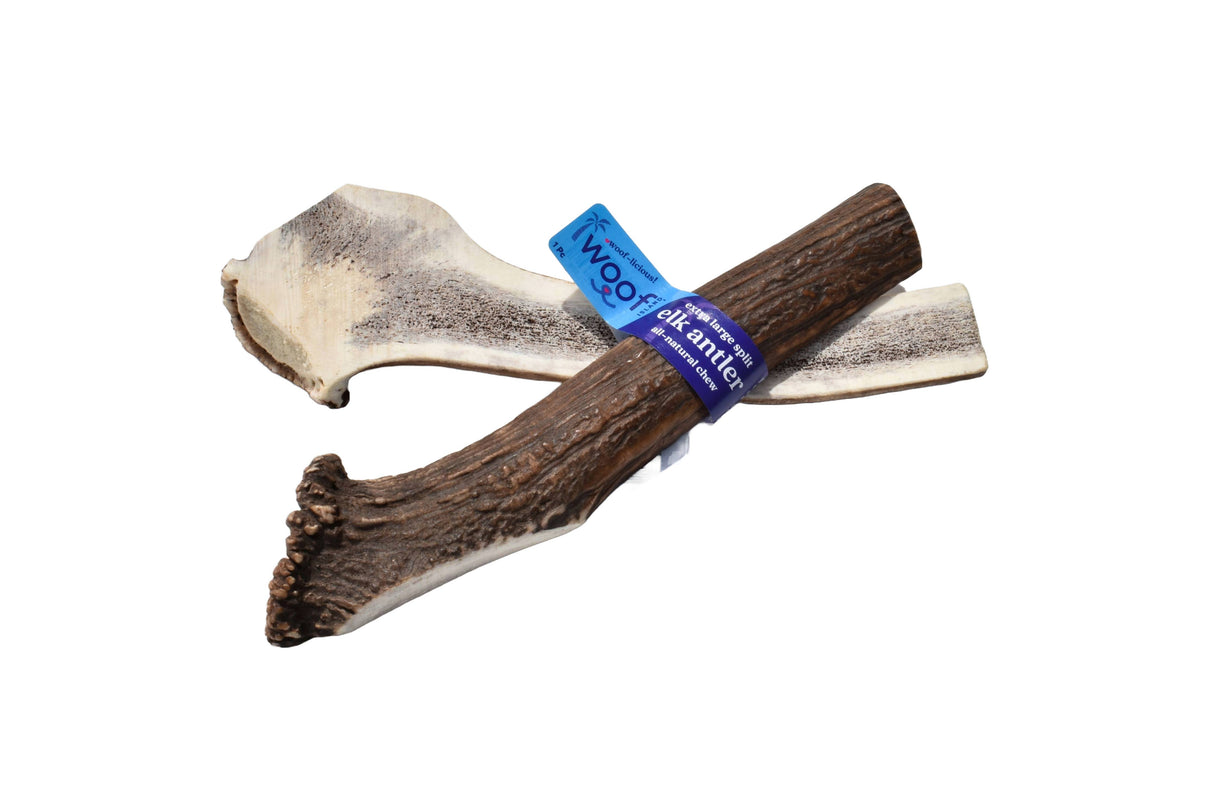 Elk Antler (XL) - Split