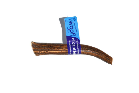 Elk Antler (Medium) - Whole