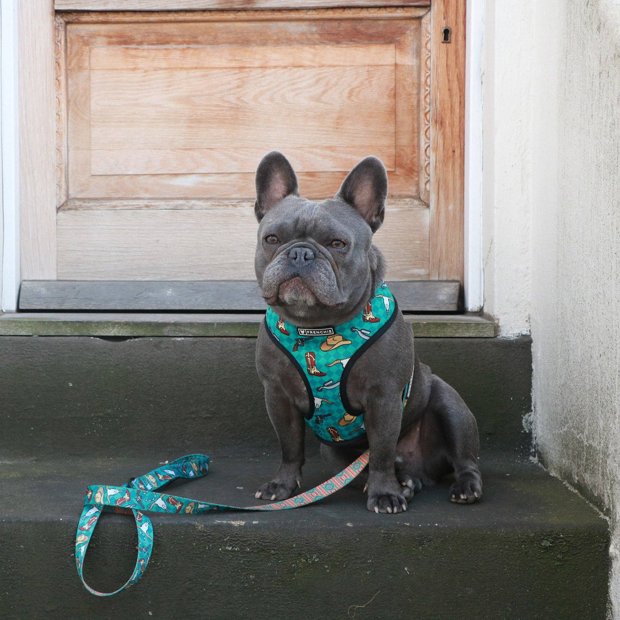 Frenchie Duo Reversible Harness - Wild West