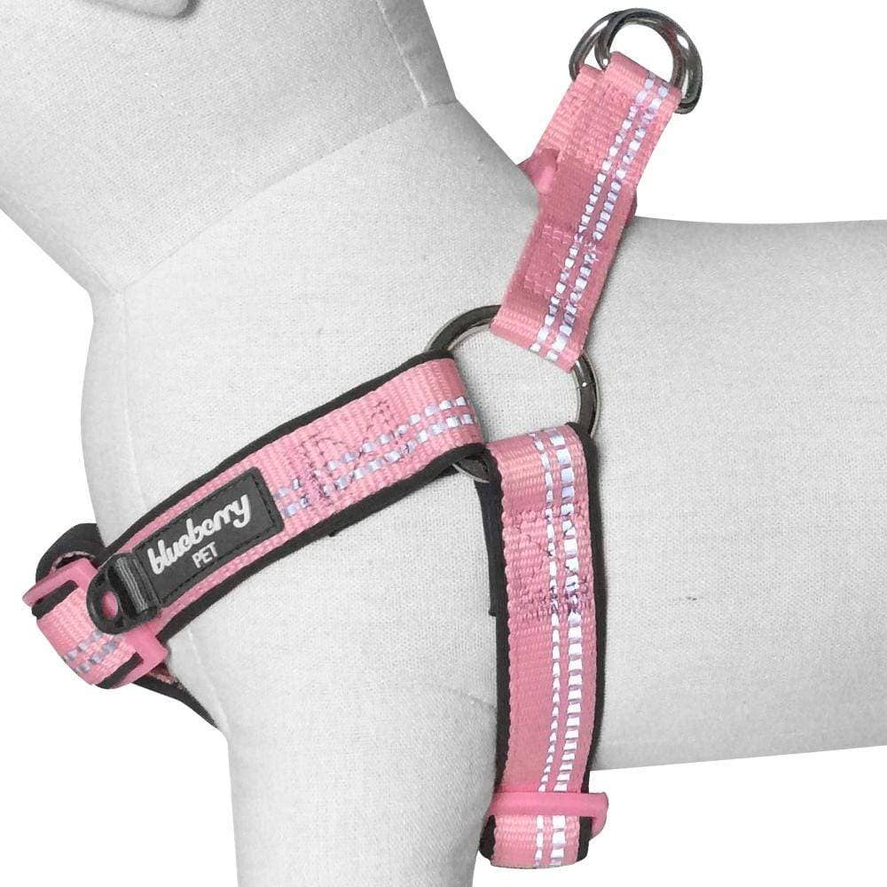 Padded Harness with 3M Reflective Stripes