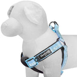 Padded Harness with 3M Reflective Stripes