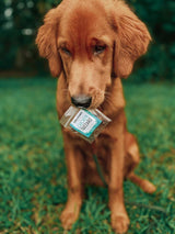 Farm Hounds Dog Treats Sample