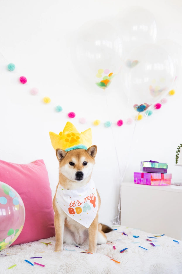 Happy Barkday Bandana and Hat Set