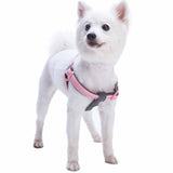 Padded Harness with 3M Reflective Stripes