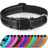 Lapdog Nylon Collar w/neoprene liner