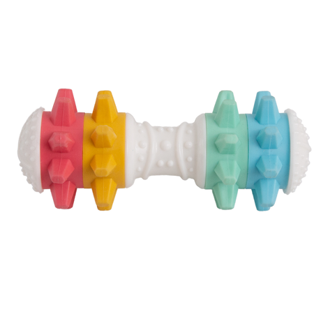 Shake It Off Nylon Noisy Bone Dog Toy