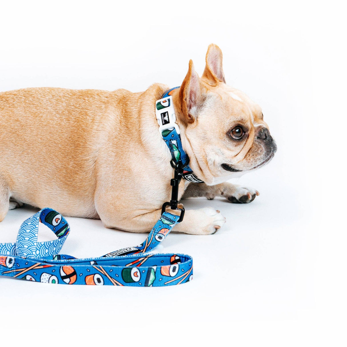 Frenchie Comfort Collar - Sushi