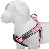 Padded Harness with 3M Reflective Stripes