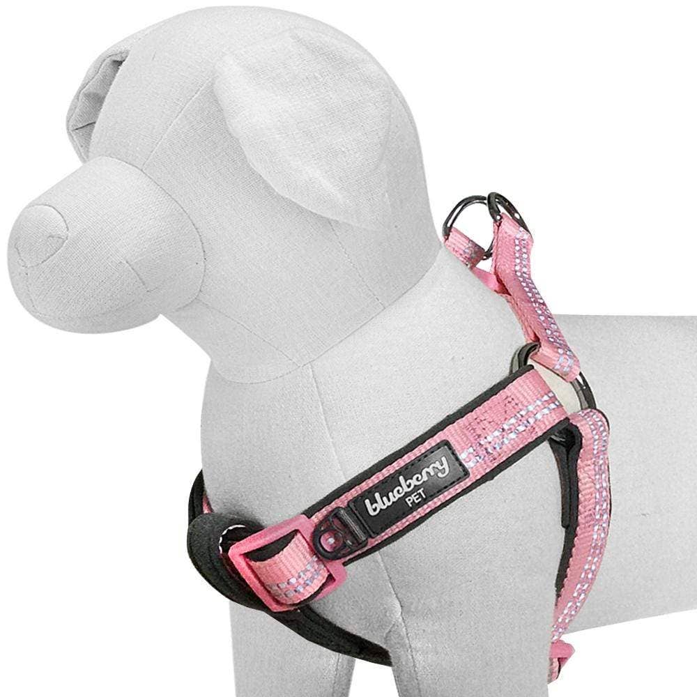 Padded Harness with 3M Reflective Stripes