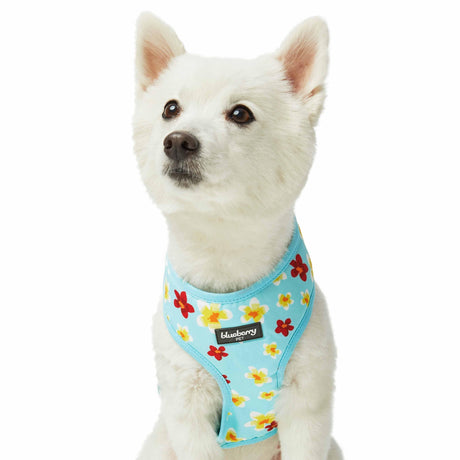 Tropical Plumeria Flower Dog Harness Vest