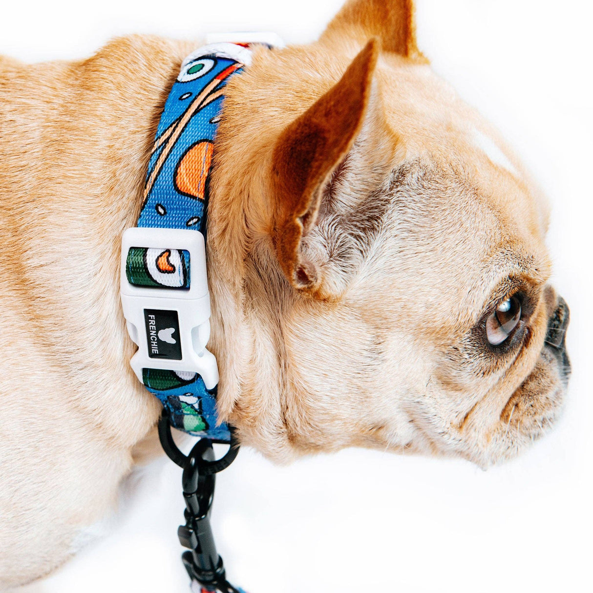 Frenchie Comfort Collar - Sushi