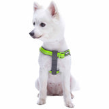 Padded Harness with 3M Reflective Stripes