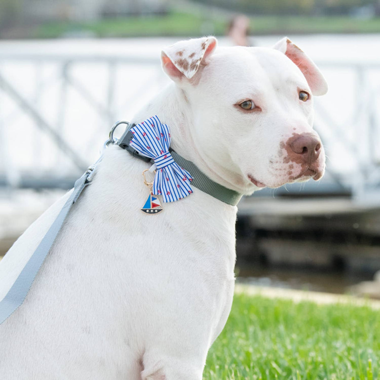 Nautical Dog Collar Bowtie Set