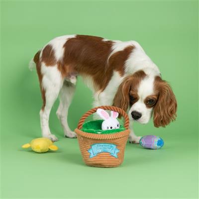 Easter Basket Egg Hunt and Seek Plush Dog Toys