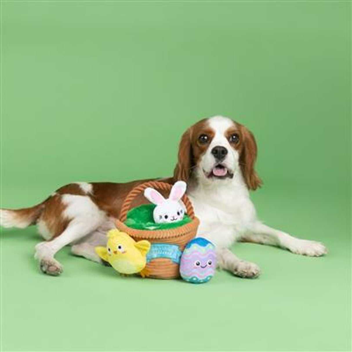 Easter Basket Egg Hunt and Seek Plush Dog Toys