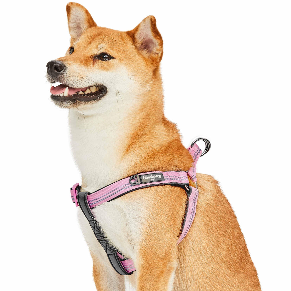 Padded Harness with 3M Reflective Stripes