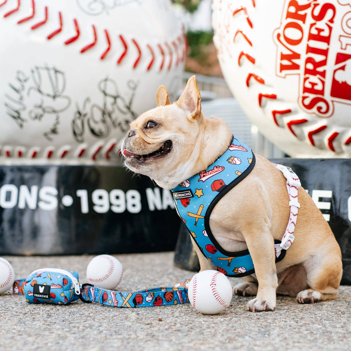 Frenchie Duo Reversible Harness - Batter Up