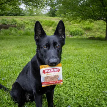 Chips Snack Packs- Chicken and Turkey