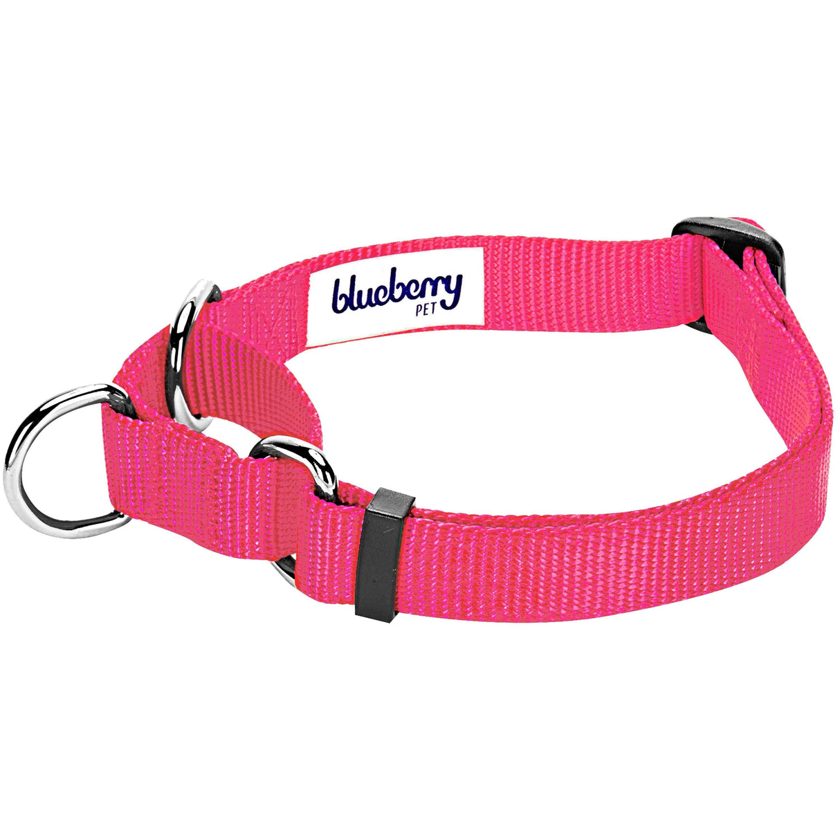 Martingale Dog Collar