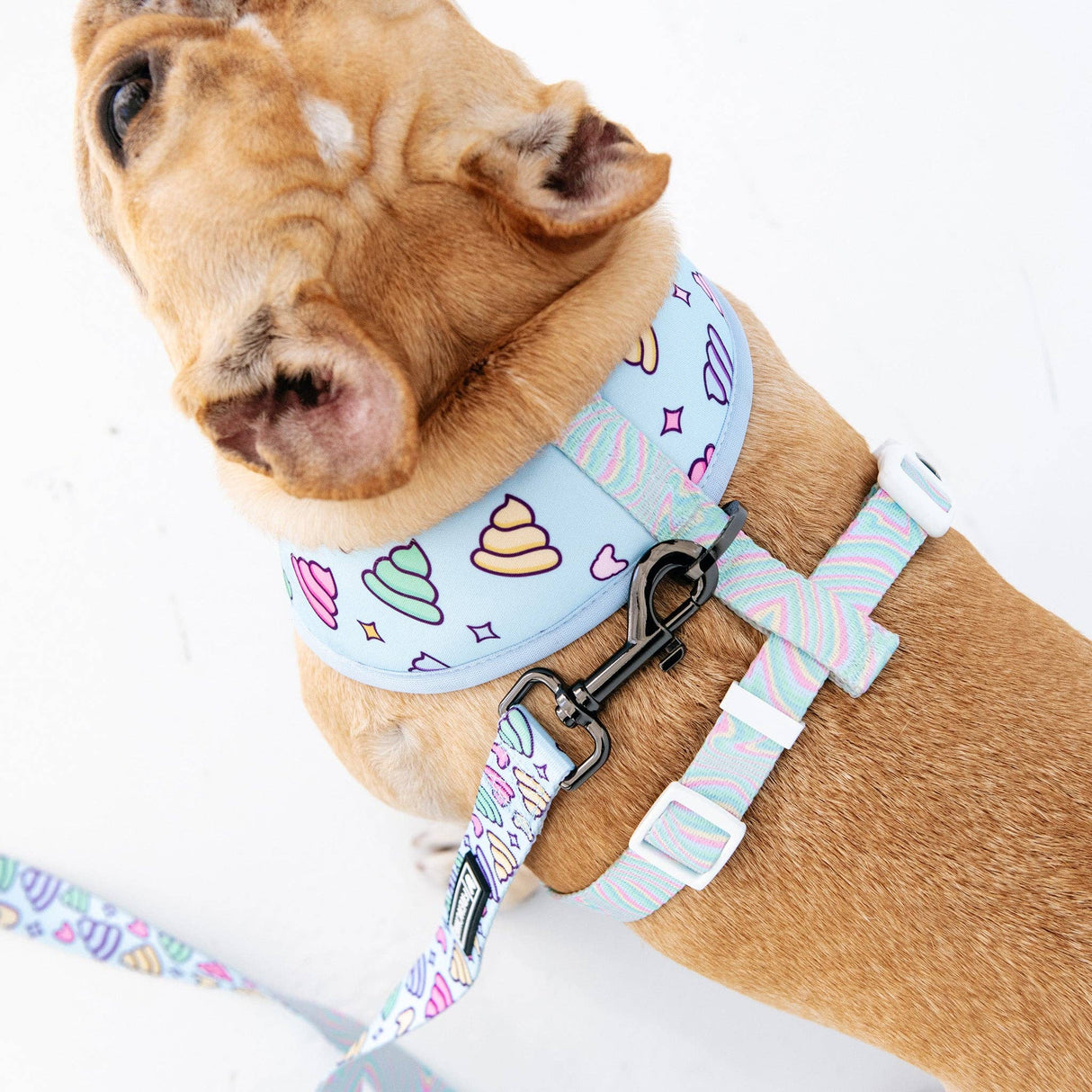 Frenchie Duo Reversible Harness - Ohh Sh*t