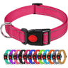 Lapdog Nylon Collar w/neoprene liner