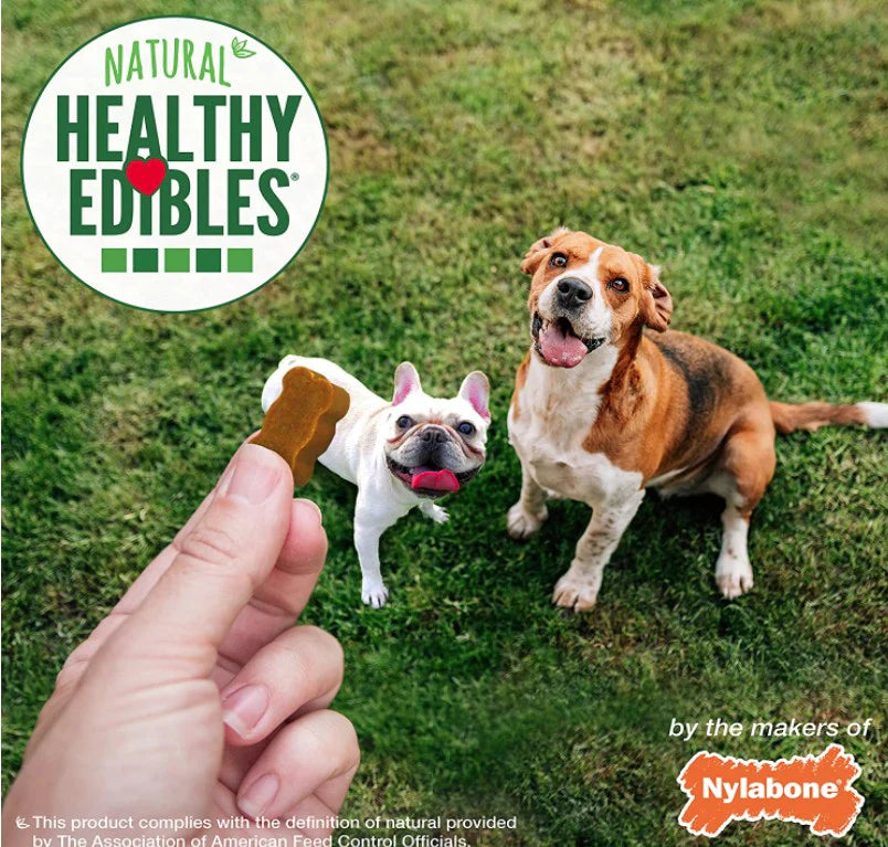 Nylabone Chicken Chewy Bites Dog Treats